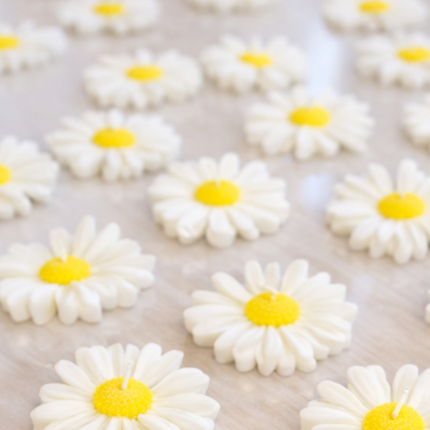 Μπομπονιέρα Κερί Μαργαρίτα